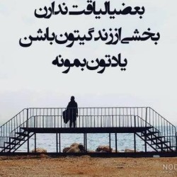 حامد شریفی