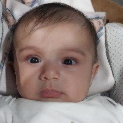 محسن صالحی